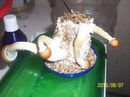 100_4765.JPG