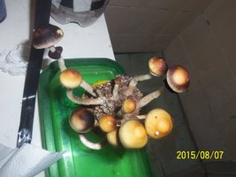 100_4766.JPG