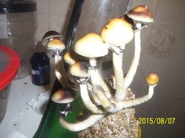 100_4767.JPG