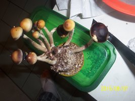 100_4768.JPG