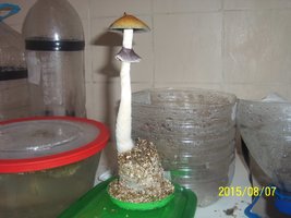 100_4770.JPG