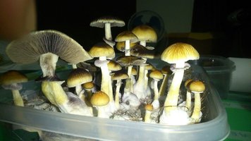 AnPkOyCkUg3zAltbWTbYWX9gt67ZMJlhnTBqCbWGn6tj.jpg