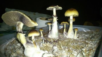 Avi8sT1z9CCM393kt1PHH8O7v2HGwaHS9dAibeqIqs10.jpg