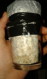 20150813_105937.jpg