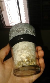 20150813_110038.jpg