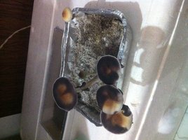 foto 3.JPG
