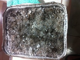 foto 4.JPG