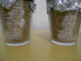 DSCN0436.JPG