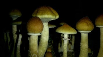 AuJCg0dIZ7w_FXDbbnKPkrDY1PIawU0S9pxWeBKQj0UW.jpg