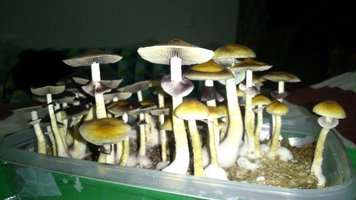 DSC_0656.JPG
