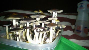 DSC_0655.JPG