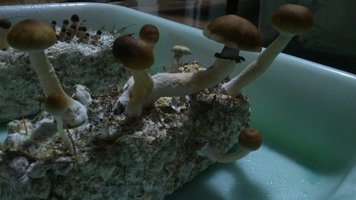 DSC_0669.JPG