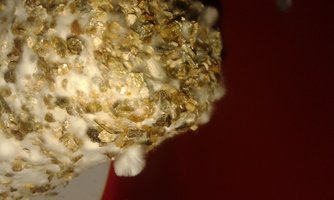20150828_092426.jpg