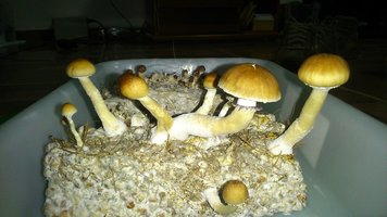 DSC_0666.JPG