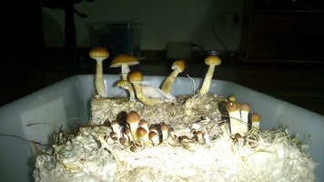 DSC_0664.JPG