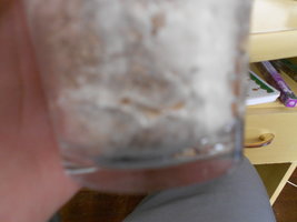 DSCN0455.JPG