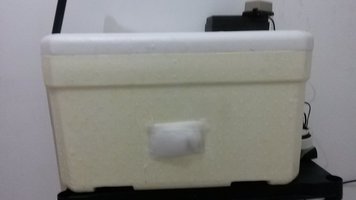 20150830_193909.jpg