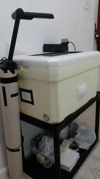 20150830_193922.jpg