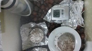 20150830_195418.jpg