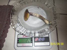 100_4789.JPG
