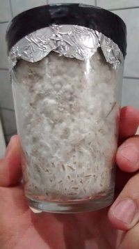 YDYuQRe.jpg