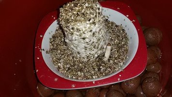 20150901_143116.jpg