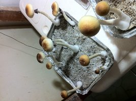 foto 1.JPG