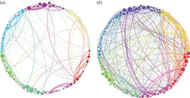 shrooms_brain_networks.jpg