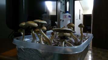 DSC_0695.JPG