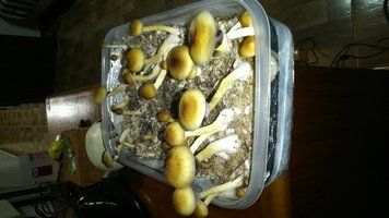 DSC_0701.JPG