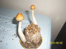 100_4792.JPG