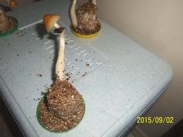 100_4794.JPG