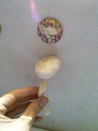 CAM00589.jpg