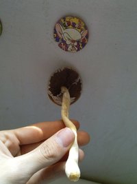 CAM00590.jpg