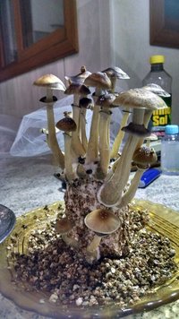 IMG_20150827_213422471_HDR.jpg