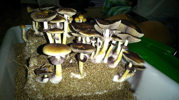 DSC_0714.JPG