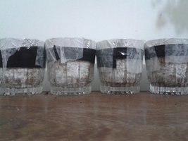 20150905_220159.jpg