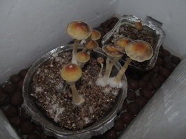 IMG_6057.JPG