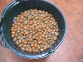 DSCN0475.JPG