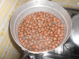 DSCN0506.JPG