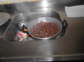 DSCN0509.JPG
