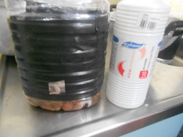 DSCN0528.JPG