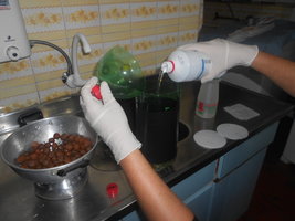 DSCN0529.JPG
