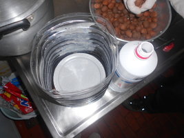 DSCN0526.JPG