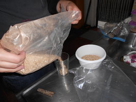 DSCN0480.JPG