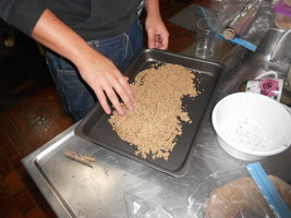 DSCN0483.JPG