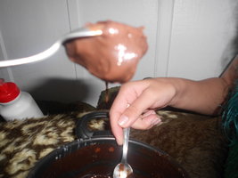 DSCN0548.JPG