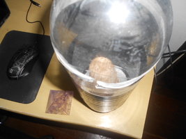 DSCN0544.JPG