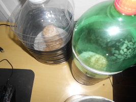 DSCN0543.JPG
