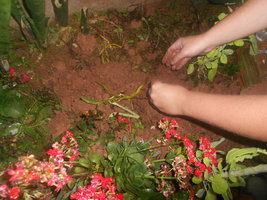 DSCN0602.JPG